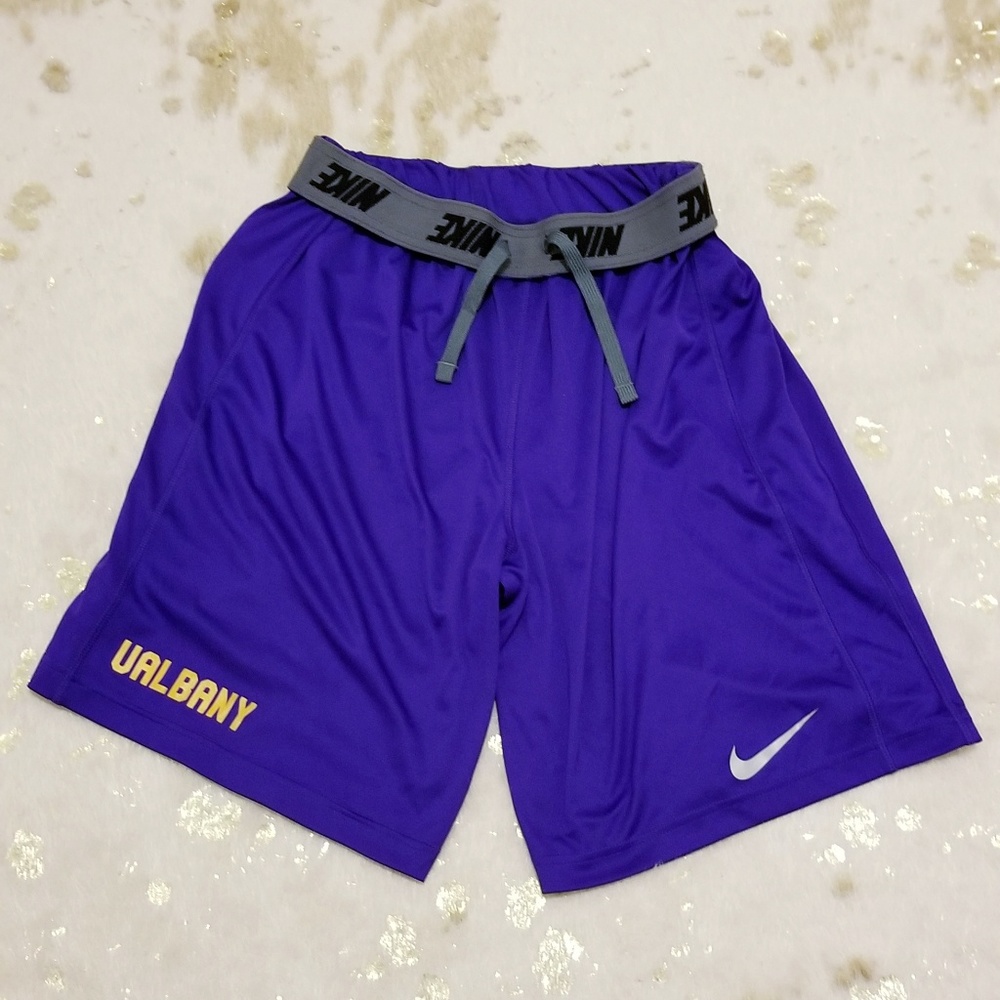 Nike dri-fit shorts